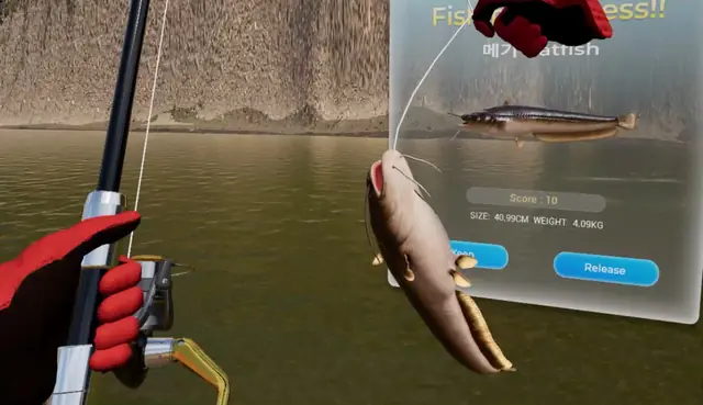 A catfish held up on the line beside a card showing its size and weight