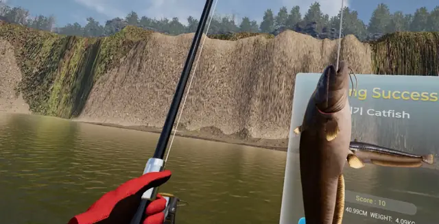 A catfish held up close in front of its catch card