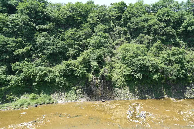 Wooded basalt cliffs above the Hantan River
