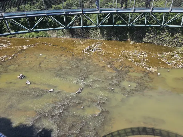 The rocky bed of the Hantan River seen from a bridge