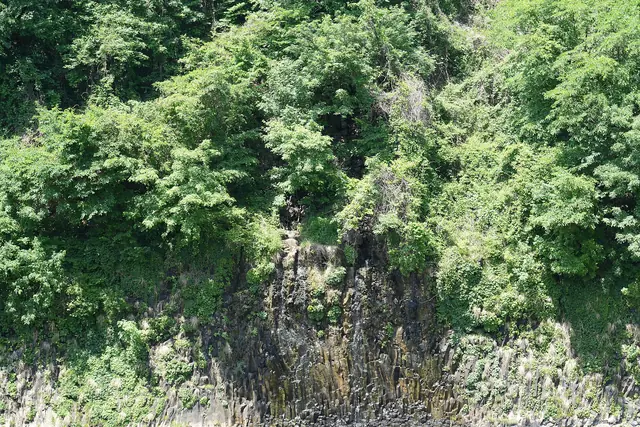 Wooded basalt cliffs above the Hantan River