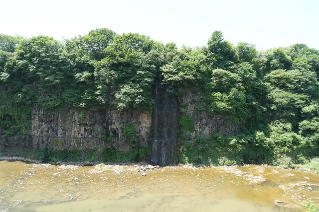 Wooded basalt cliffs above the Hantan River